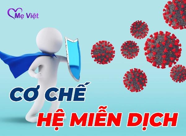 Cơ Chế Hệ Miễn Dịch Của Cơ Thể