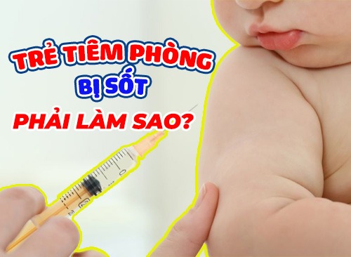 Trẻ Tiêm Phòng Bị Sốt Phải Làm Sao