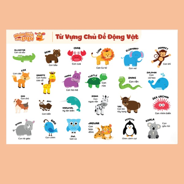 POSTER DÁN TƯỜNG - Từ vựng động vật