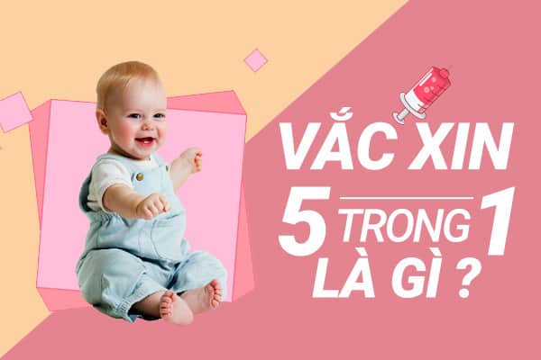 Vacxin 5 Trong 1 Là Gì? Phân Biệt Các Loại Vacxin Hiện Nay