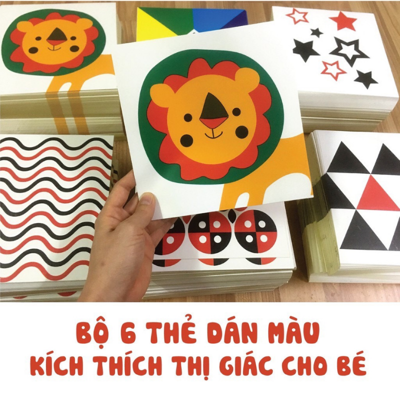 Bộ 6 Thẻ Kích Thích Thị Giác Cho Bé - Bộ Màu Sắc